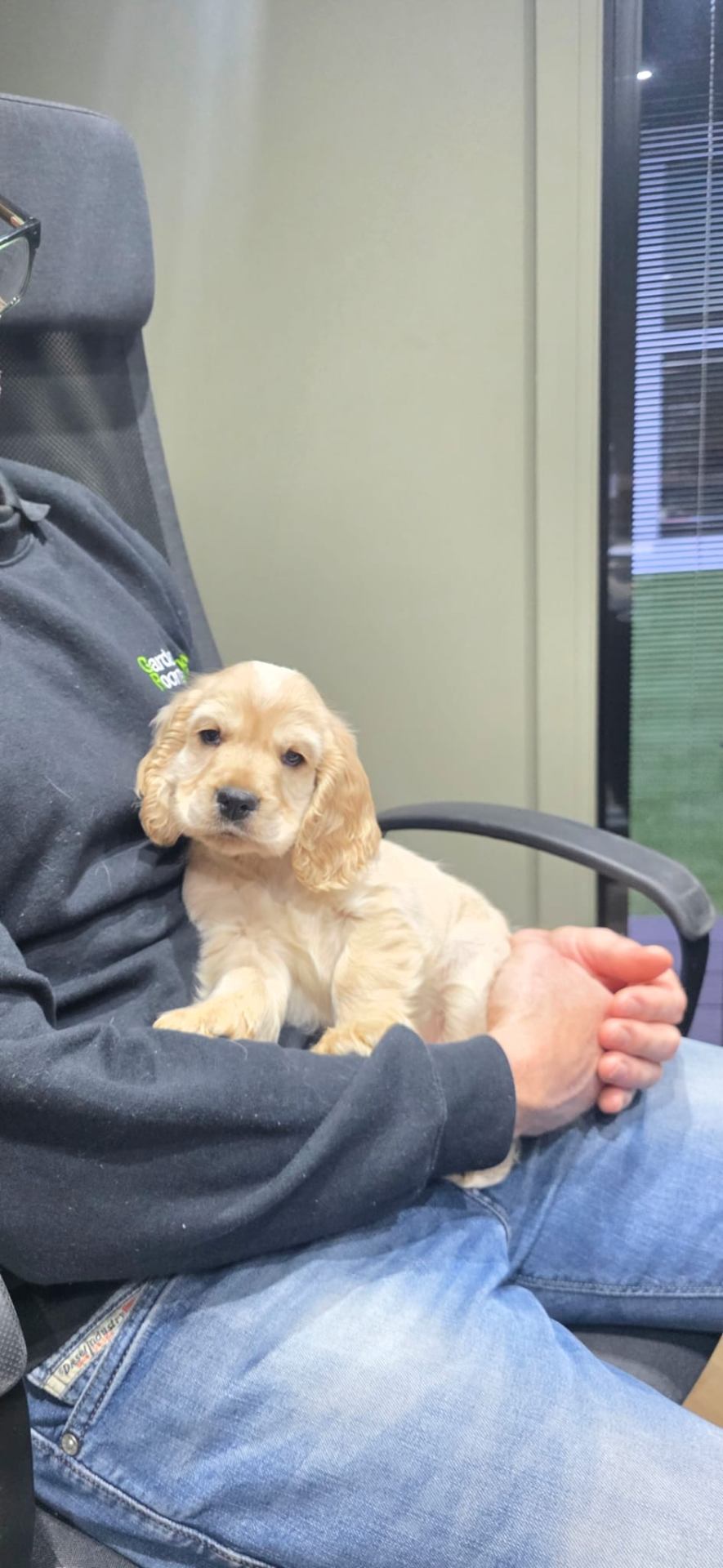Introducing Our Mascot: Meet the Newest Member of the Team